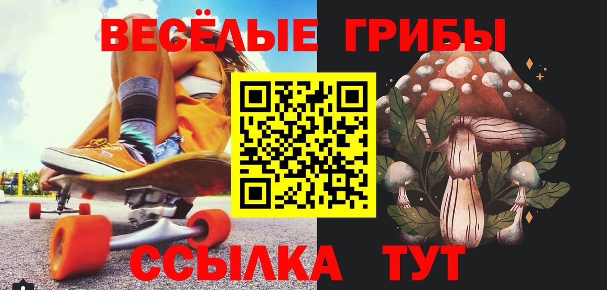 Псилоцибиновые грибы прущие грибы  Галлюциногенные грибы Psilocybine cubensis  Вход с VPN  Шадринск 